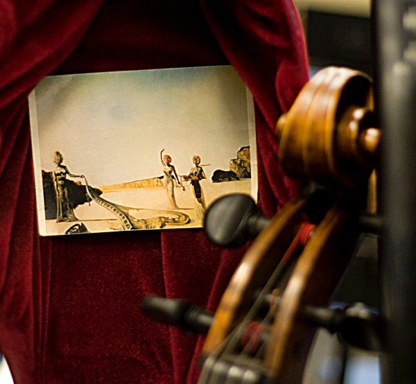 Dali in Cello Case